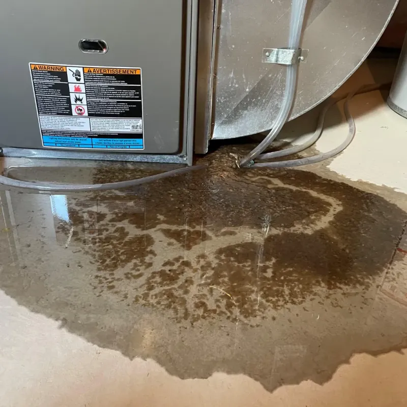 Appliance Leak Cleanup in Clymer, PA